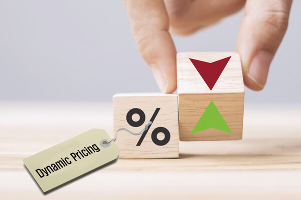 동적 가격제 관련 이미지